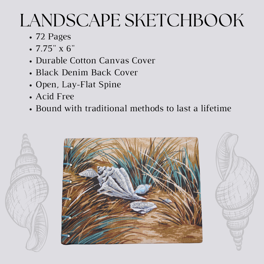 Seashells on Beach Grass Landscape Drawing Sketchbook